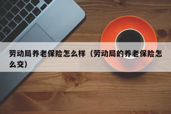 劳动局养老保险怎么样（劳动局的养老保险怎么交）